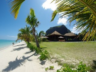 Обои море, пляж, домики, пальмы, sea, beach, houses, palm trees разрешение 2560x1600 Загрузить