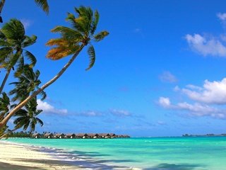 Обои пляж, тропики, мальдивы, beach, tropics, the maldives разрешение 4752x3168 Загрузить