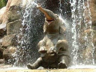 Обои слон, душ, elephant, shower разрешение 2000x1437 Загрузить