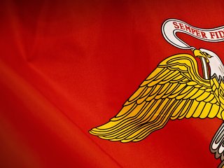 Обои желтый, красный, орел, флаг, yellow, red, eagle, flag разрешение 2560x1600 Загрузить