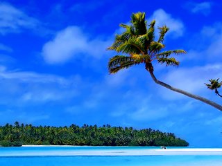 Обои остров, тропики, мальдивы, island, tropics, the maldives разрешение 1920x1080 Загрузить