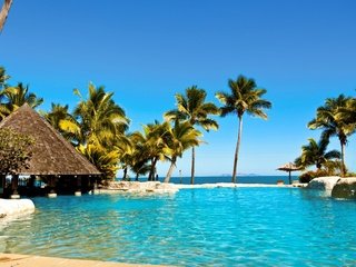 Обои пальмы, бассейн, отдых, тропики, palm trees, pool, stay, tropics разрешение 2560x1600 Загрузить