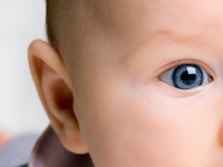 Обои ребенок, глазки, мамимо счастье, child, eyes, mamimo happiness разрешение 7956x1230 Загрузить