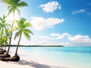 Обои пляж, тропики, beach, tropics разрешение 3365x2000 Загрузить