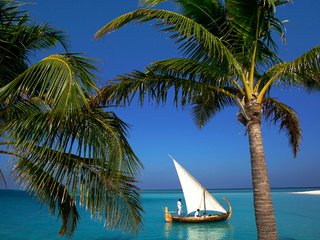 Обои лодка, тропики, мальдивы, boat, tropics, the maldives разрешение 2500x1667 Загрузить