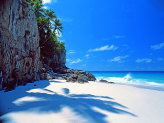 Обои море, пляж, тропики, sea, beach, tropics разрешение 3755x2768 Загрузить