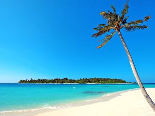 Обои море, пляж, остров, тропики, sea, beach, island, tropics разрешение 2563x1605 Загрузить