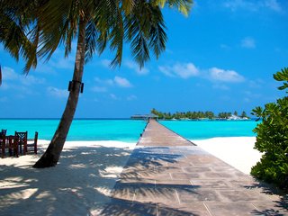 Обои море, пляж, остров, тропики, мальдивы, sea, beach, island, tropics, the maldives разрешение 3837x2569 Загрузить