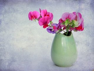 Обои цветы, фон, букет, ваза, орхидея, flowers, background, bouquet, vase, orchid разрешение 2048x1365 Загрузить