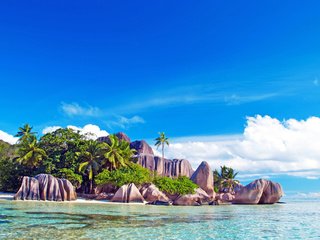 Обои море, пляж, отдых, остров, тропики, сейшелы, sea, beach, stay, island, tropics, seychelles разрешение 3819x2556 Загрузить