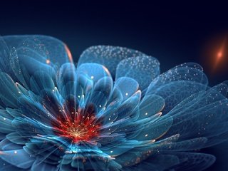 Обои лепестки, petals разрешение 1920x1080 Загрузить