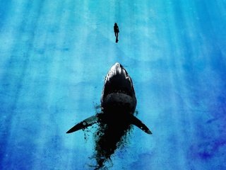 Обои акула и аквалангист, shark and scuba diver разрешение 2560x1440 Загрузить