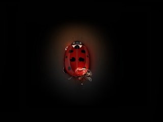 Обои жук, божья коровка, минимализм, механизм, шестеренки, beetle, ladybug, minimalism, mechanism, gear разрешение 1920x1080 Загрузить