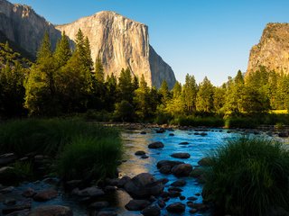 Обои горы, лес, панорамма, йосемитский национальный парк, mountains, forest, panorama, yosemite national park разрешение 1920x1080 Загрузить