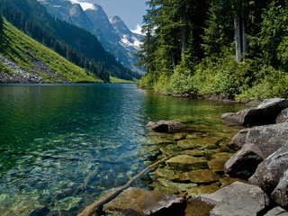 Обои деревья, вода, горы, природа, горная река, trees, water, mountains, nature, mountain river разрешение 2560x1600 Загрузить