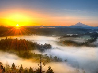 Обои горы, природа, лес, туман, mountains, nature, forest, fog разрешение 2560x1600 Загрузить