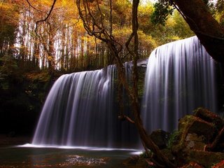 Обои деревья, природа, камни, лес, водопад, осень, лоза, красиво, trees, nature, stones, forest, waterfall, autumn, vine, beautiful разрешение 2560x1600 Загрузить