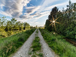 Обои дорога, деревья, солнце, пейзаж, road, trees, the sun, landscape разрешение 2374x1500 Загрузить