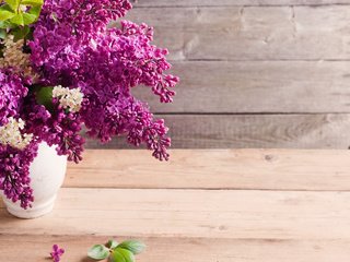 Обои букет, ваза, сирень, черемуха, bouquet, vase, lilac, cherry разрешение 2560x1600 Загрузить