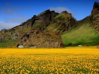 Обои небо, цветы, горы, поле, весна, одуванчики, долина, желтые, the sky, flowers, mountains, field, spring, dandelions, valley, yellow разрешение 1920x1200 Загрузить