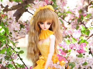 Обои цветы, природа, игрушка, кукла, вишня, flowers, nature, toy, doll, cherry разрешение 2048x1360 Загрузить