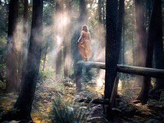 Обои лес, девушка, настроение, платье, туман, forest, girl, mood, dress, fog разрешение 1920x1200 Загрузить