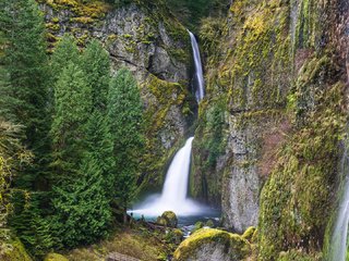 Обои ущелье реки колумбия, wachlella водопад, the columbia river gorge, wachlella waterfall разрешение 1920x1080 Загрузить