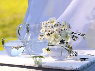 Обои цветы, вода, ткань, букет, белые, кувшин, натюрморт, flowers, water, fabric, bouquet, white, pitcher, still life разрешение 2560x1600 Загрузить