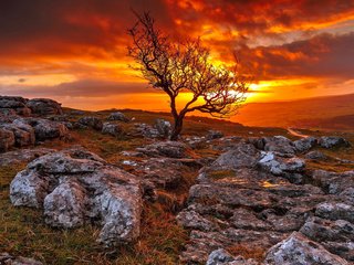 Обои небо, дорога, деревья, горы, камни, закат, тучи, зарево, the sky, road, trees, mountains, stones, sunset, clouds, glow разрешение 1920x1200 Загрузить