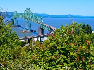 Обои деревья, река, природа, мост, trees, river, nature, bridge разрешение 4576x3040 Загрузить