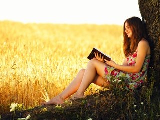 Обои дерево, девушка, поле, пшеница, книга, tree, girl, field, wheat, book разрешение 5616x3744 Загрузить