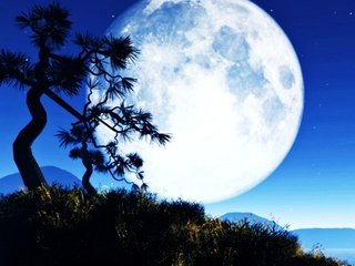 Обои небо, ночь, вода, природа, дерево, луна, остров, the sky, night, water, nature, tree, the moon, island разрешение 1920x1200 Загрузить