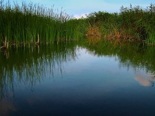 Обои вода, природа, water, nature разрешение 1920x1080 Загрузить