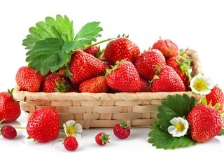Обои цветы, клубника, зеленые, ягоды, листики, земляника, flowers, strawberry, green, berries, leaves, strawberries разрешение 5788x3540 Загрузить