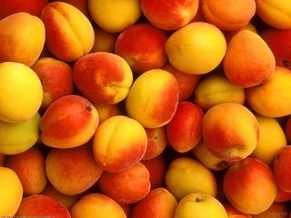 Обои фрукты, абрикосы, fruit, apricots разрешение 1920x1440 Загрузить