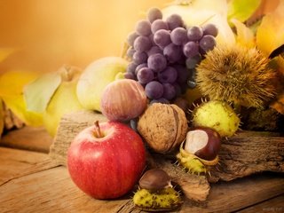 Обои орехи, виноград, фрукты, осень, яблоко, груши, каштаны, nuts, grapes, fruit, autumn, apple, pear, chestnuts разрешение 1920x1428 Загрузить