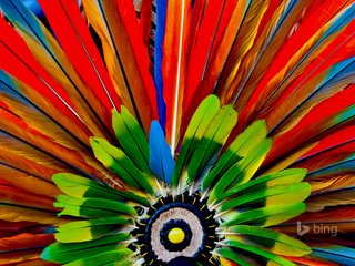 Обои макро, краски, перья, ацтеки, головной убор, macro, paint, feathers, the aztecs, headdress разрешение 1920x1200 Загрузить