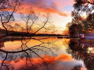 Обои небо, река, дерево, берег, закат, отражение, the sky, river, tree, shore, sunset, reflection разрешение 2048x1152 Загрузить