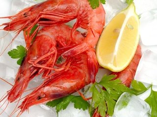 Обои лёд, лимон, морепродукты, креветки, кинза, ice, lemon, seafood, shrimp, cilantro разрешение 1920x1233 Загрузить