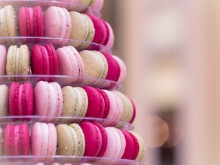 Обои фон, еда, сладости, печенье, десерт, макаруны, background, food, sweets, cookies, dessert, macaroon разрешение 1920x1200 Загрузить