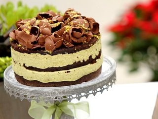 Обои шоколад, сладкое, торт, стружка, крошка, крем, chocolate, sweet, cake, chips, baby, cream разрешение 1920x1200 Загрузить