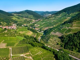 Обои горы, поля, панорама, австрия, дома, плантации, леса, вахау, mountains, field, panorama, austria, home, plantation, forest, wachau разрешение 2880x1913 Загрузить