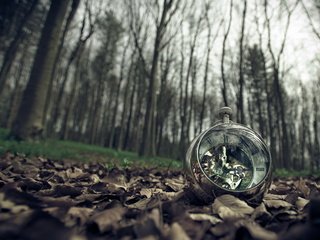 Обои природа, листья, часы, nature, leaves, watch разрешение 1920x1200 Загрузить