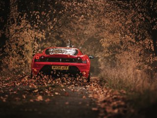 Обои листья, осень, красный, автомобиль, феррари, 430 scuderia, leaves, autumn, red, car, ferrari разрешение 3000x2002 Загрузить