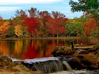 Обои деревья, нью - йорк, озеро, парк, осень, штат нью-йорк, belmont lake, belmont lake state park, озеро белмонт, вавилон, trees, new york, lake, park, autumn, the state of new york, lake belmont, babylon разрешение 2048x1361 Загрузить