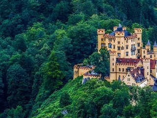 Обои лес, замок, германия, бавария, хоэншвангау, красочная, forest, castle, germany, bayern, hohenschwangau, colorful разрешение 2560x1600 Загрузить