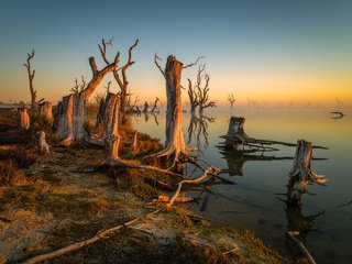 Обои деревья, озеро, утро, туман, trees, lake, morning, fog разрешение 2048x1536 Загрузить