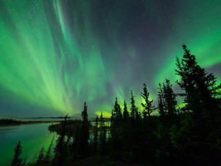 Обои небо, деревья, озеро, северное сияние, силуэты, aurora borealis, северные огни, the sky, trees, lake, northern lights, silhouettes разрешение 2048x1367 Загрузить