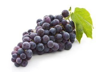 Обои листья, виноград, фрукты, плоды,  листья, гроздь винограда, leaves, grapes, fruit, bunch of grapes разрешение 4368x2912 Загрузить