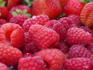 Обои макро, малина, ягоды, macro, raspberry, berries разрешение 4608x2592 Загрузить